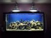 acuario 1.