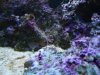 dsc02661_2_164.