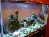 dsc00122_198.