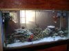 dsc00372_178.
