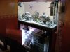 dsc00373_105.