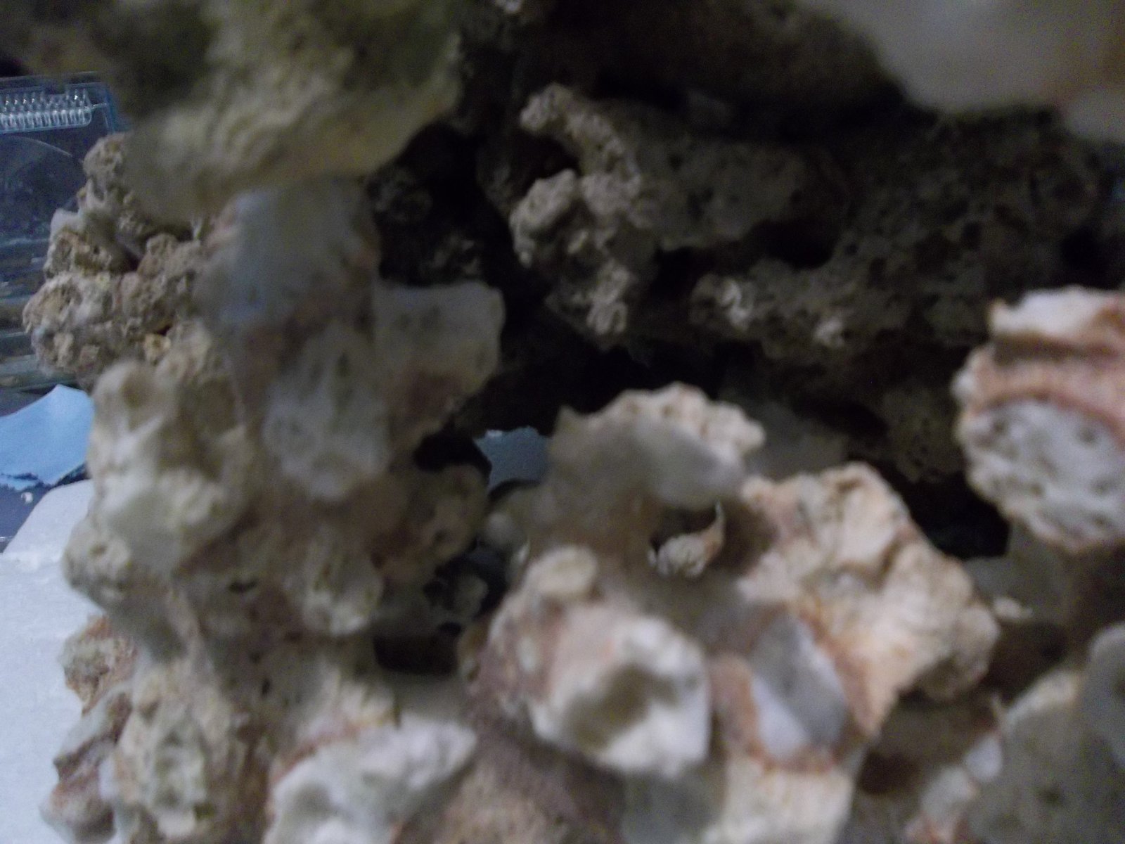 100_3931.JPG