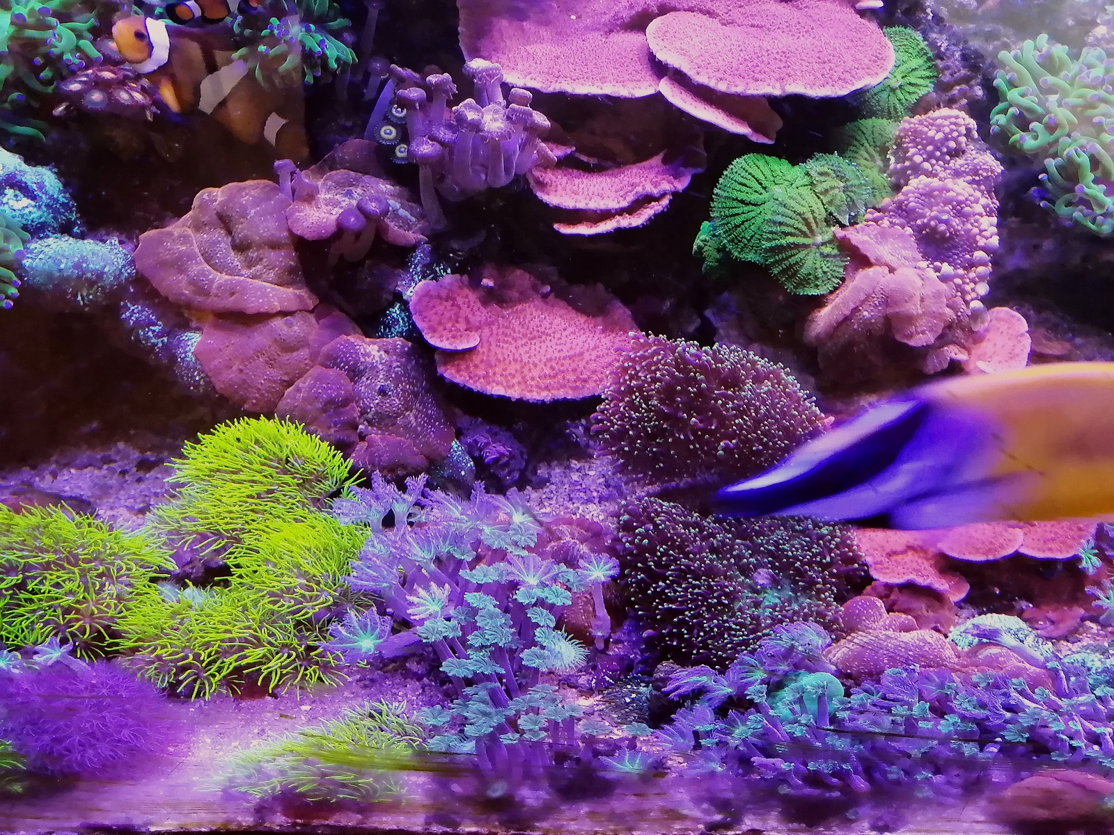200l_1.
