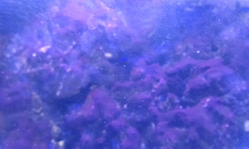 20151006_180658.