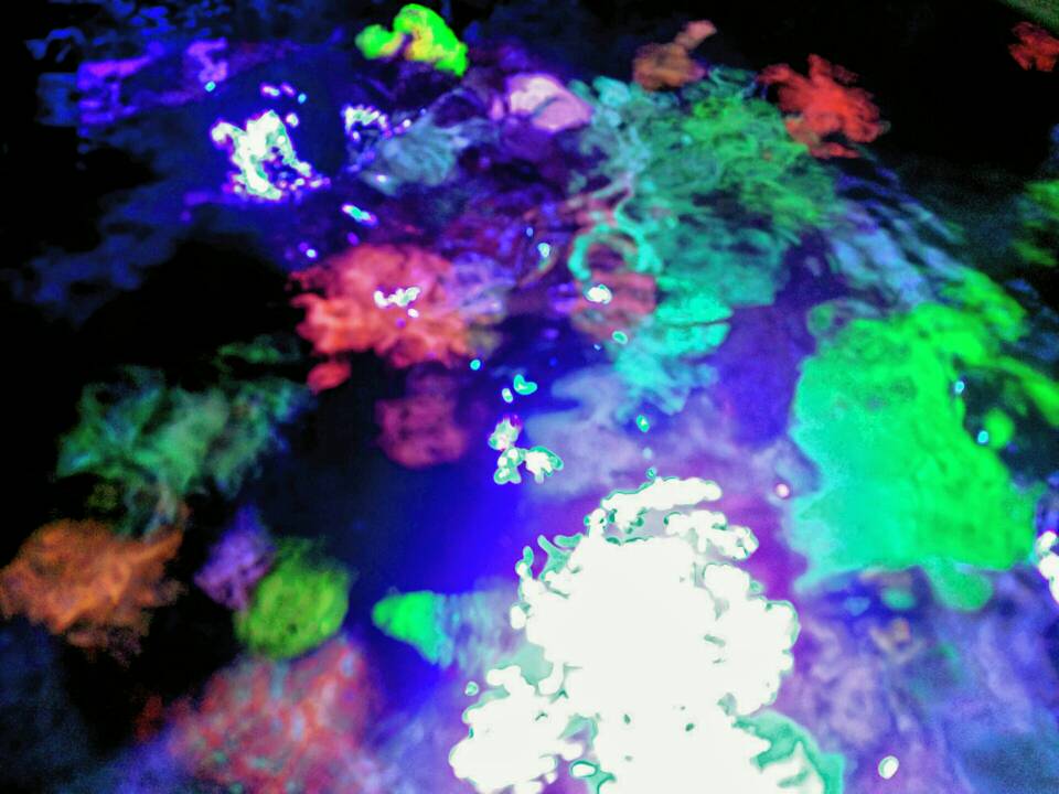 2016-09-18 00.39.35.