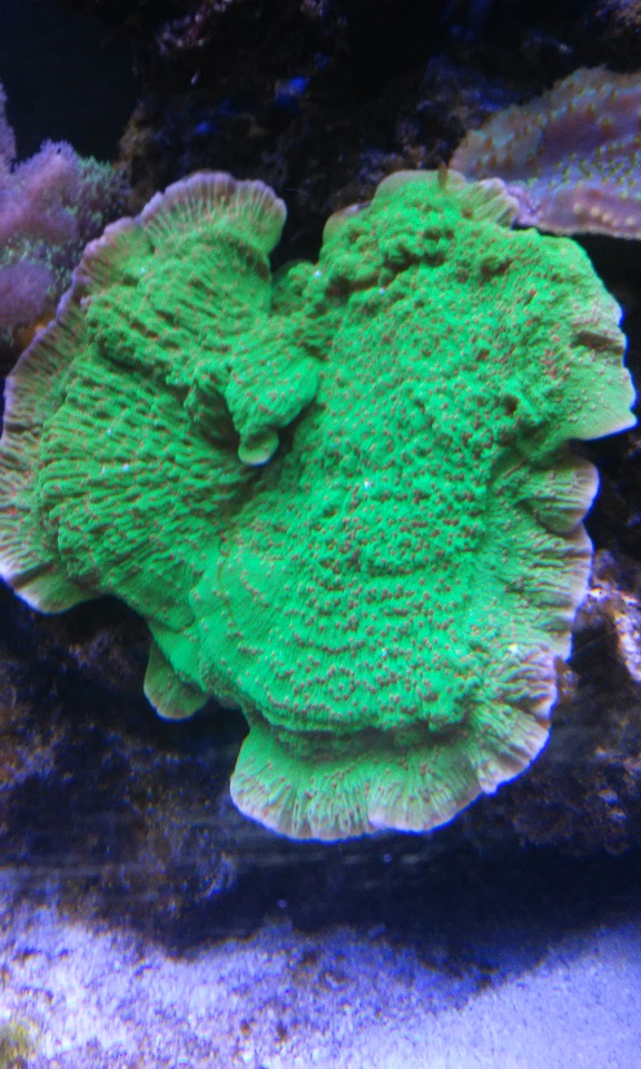 20160224_181106.