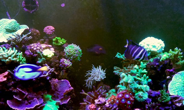 20161019_190042.