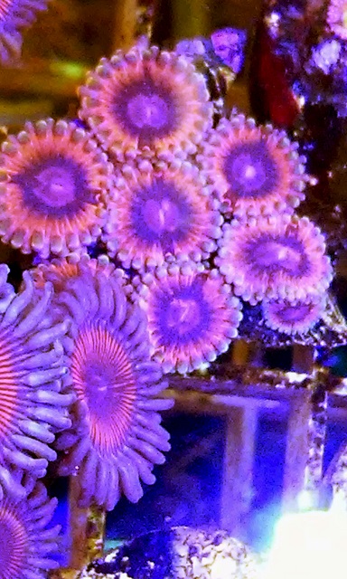 20161117_134405.