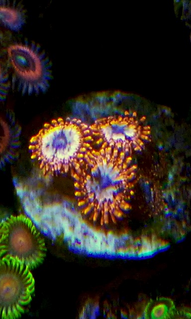 20161120_183416.