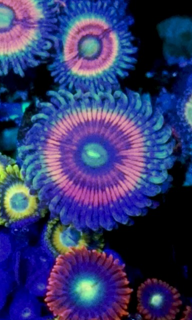 20161124_194725.