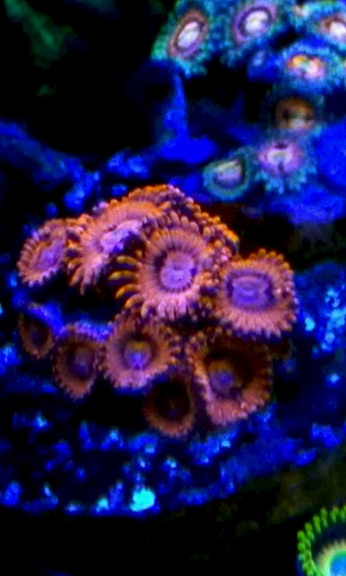 20161126_092706.