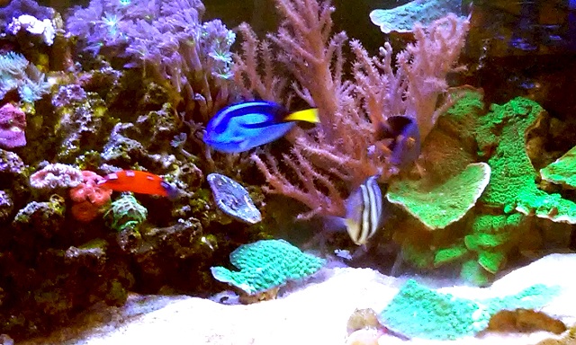 20161129_144532.