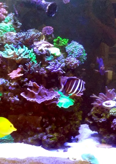 20161129_145347.