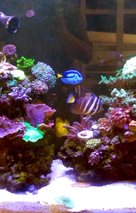 20161129_145404.