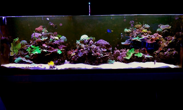 20170107_182451.