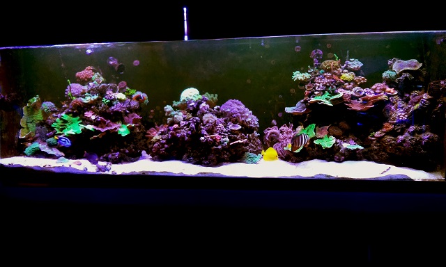 20170107_182620.