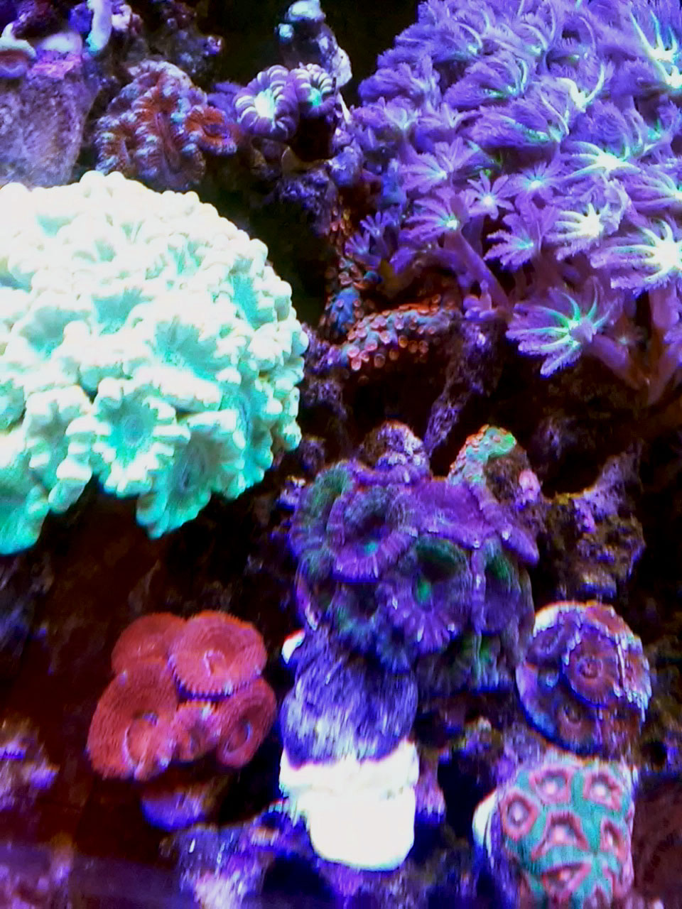 20170216_192253.