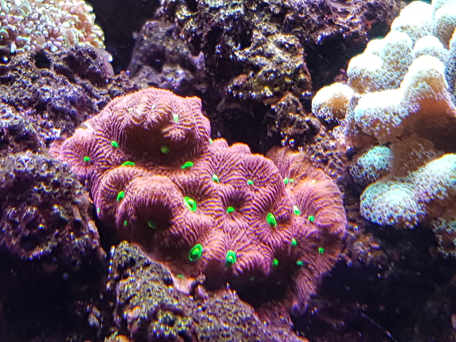20170310_154934.