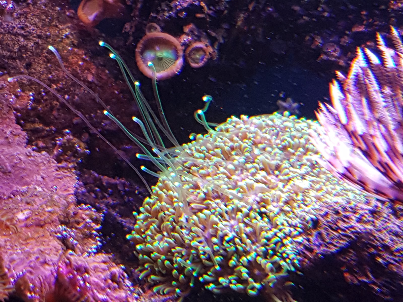 20170310_154953.