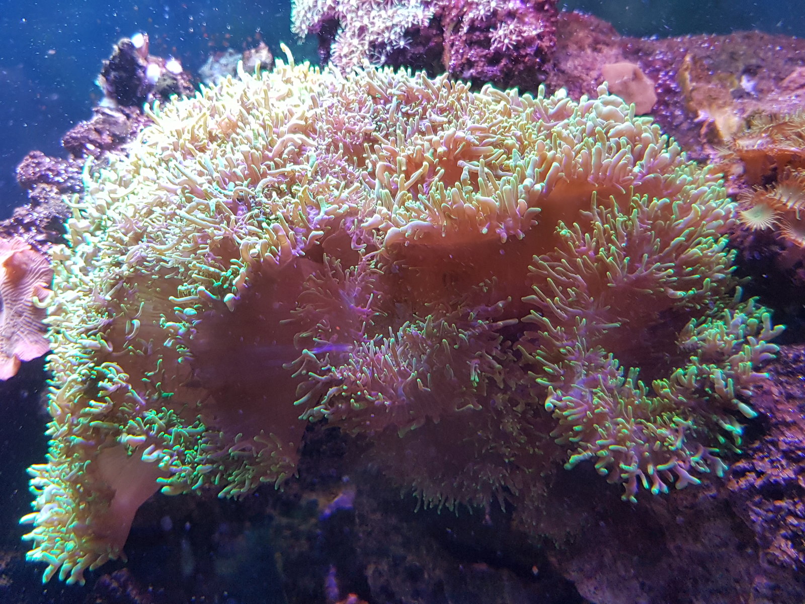 20170310_155000.