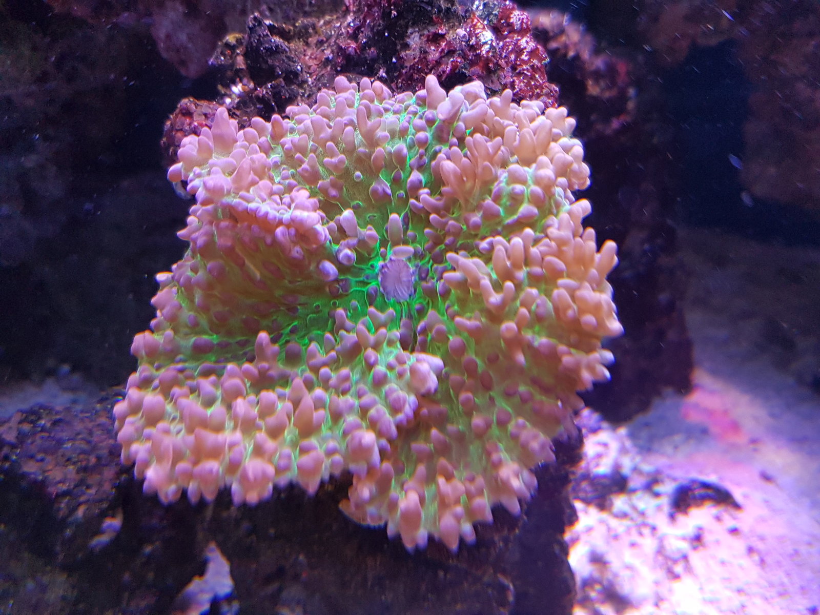 20170310_155005.