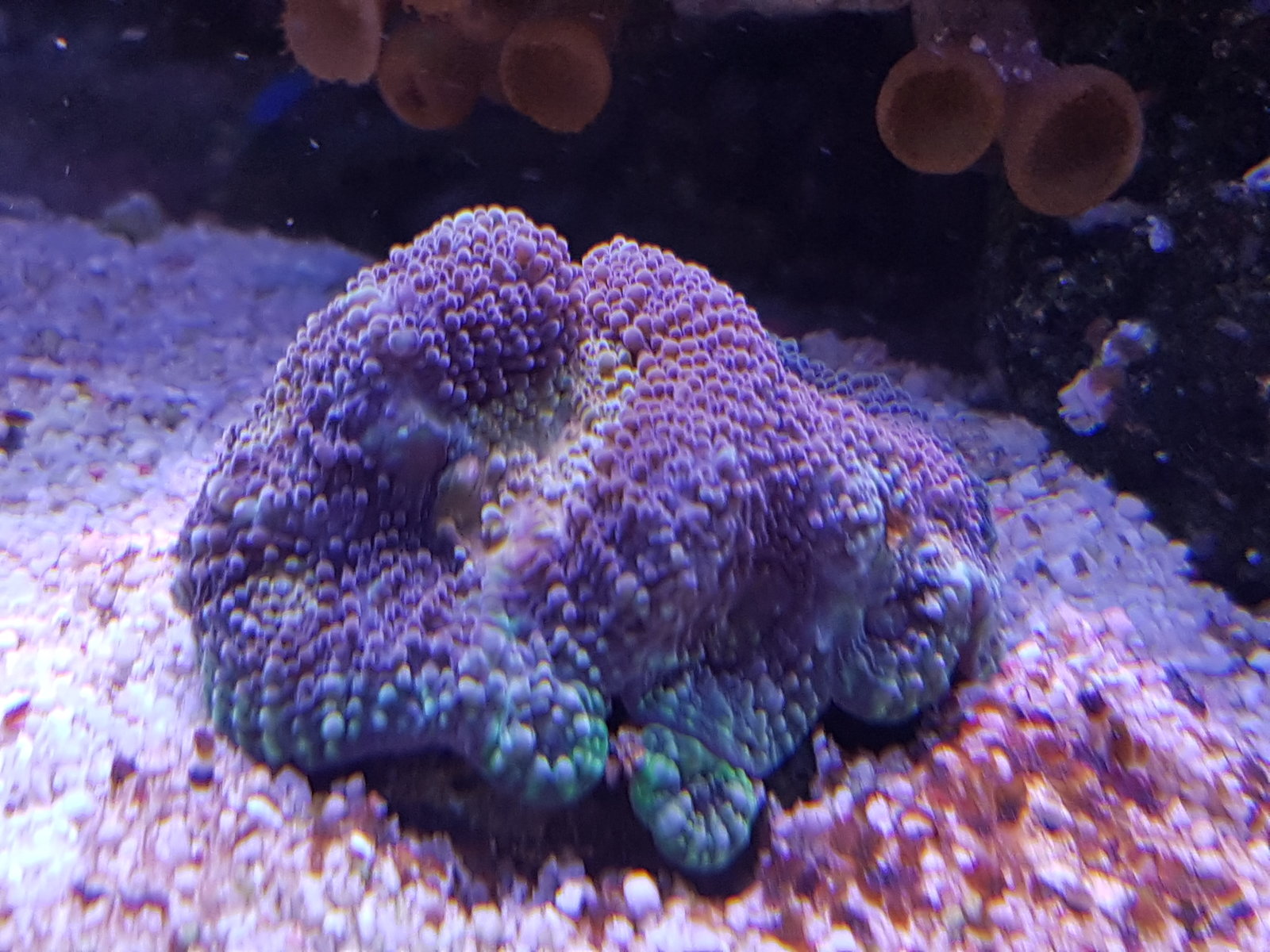 20170310_155050.