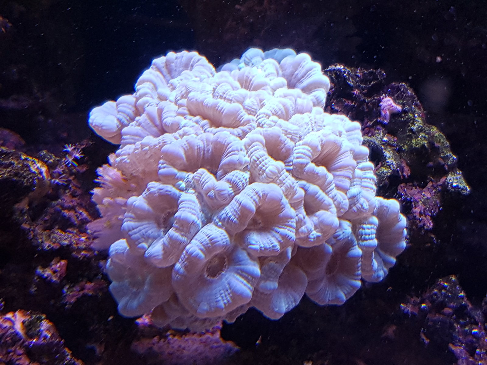 20170310_155107.