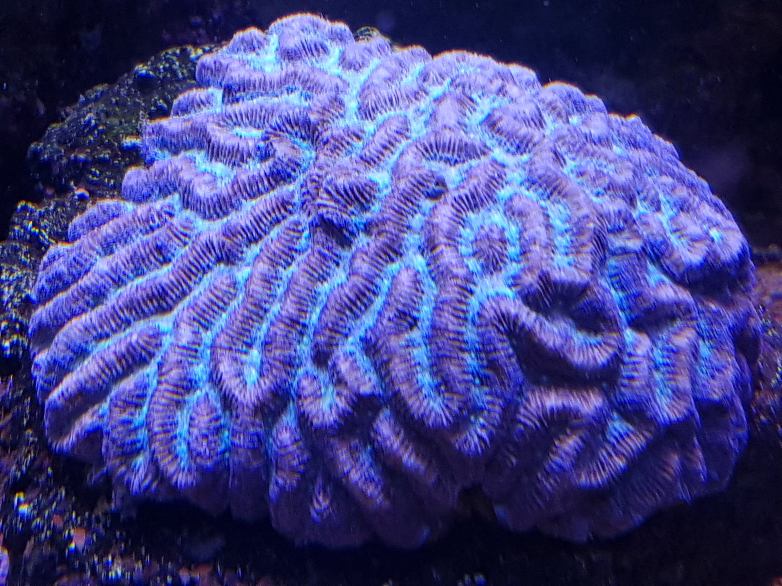 20170310_155159.