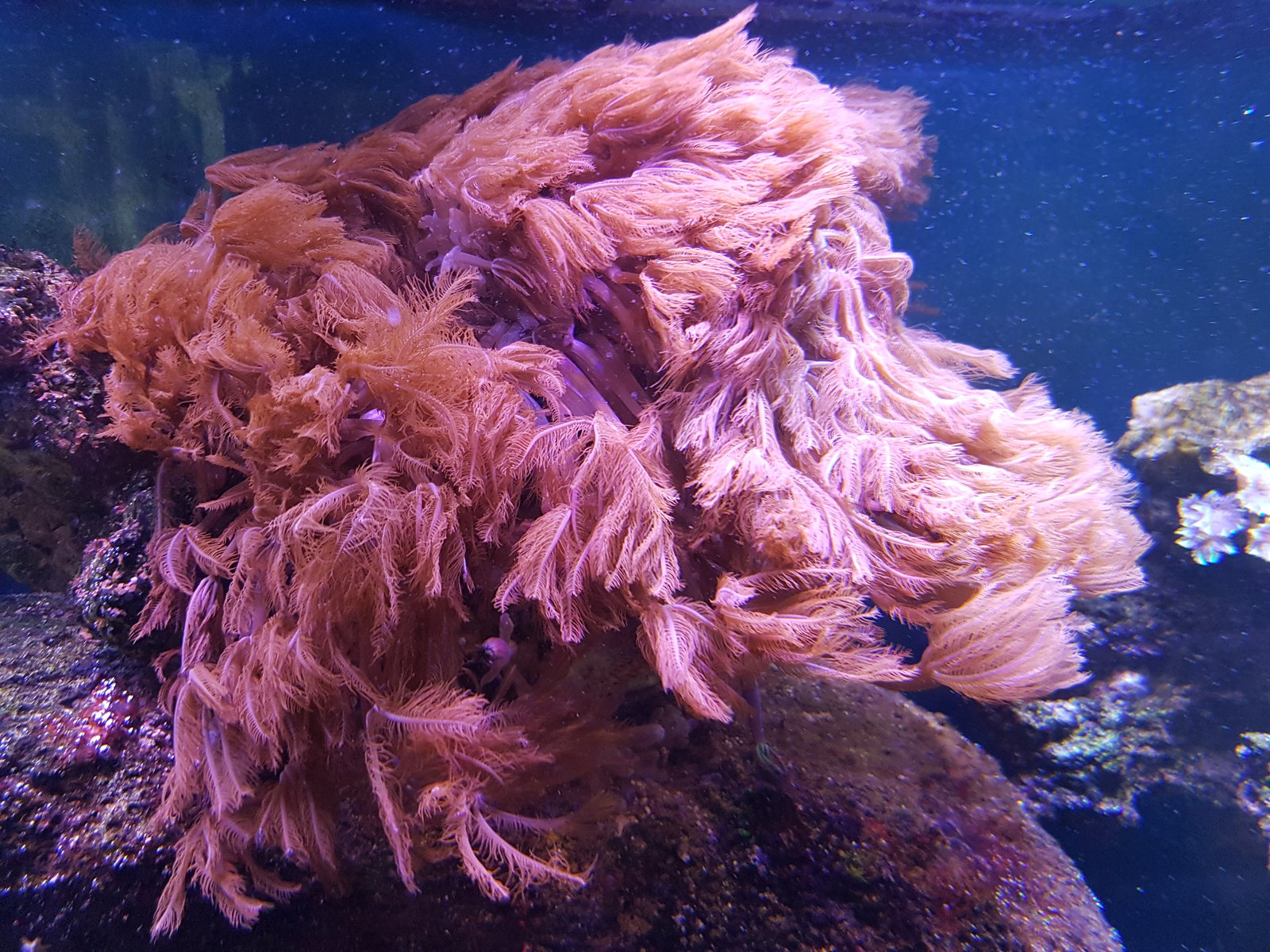 20170310_155213.
