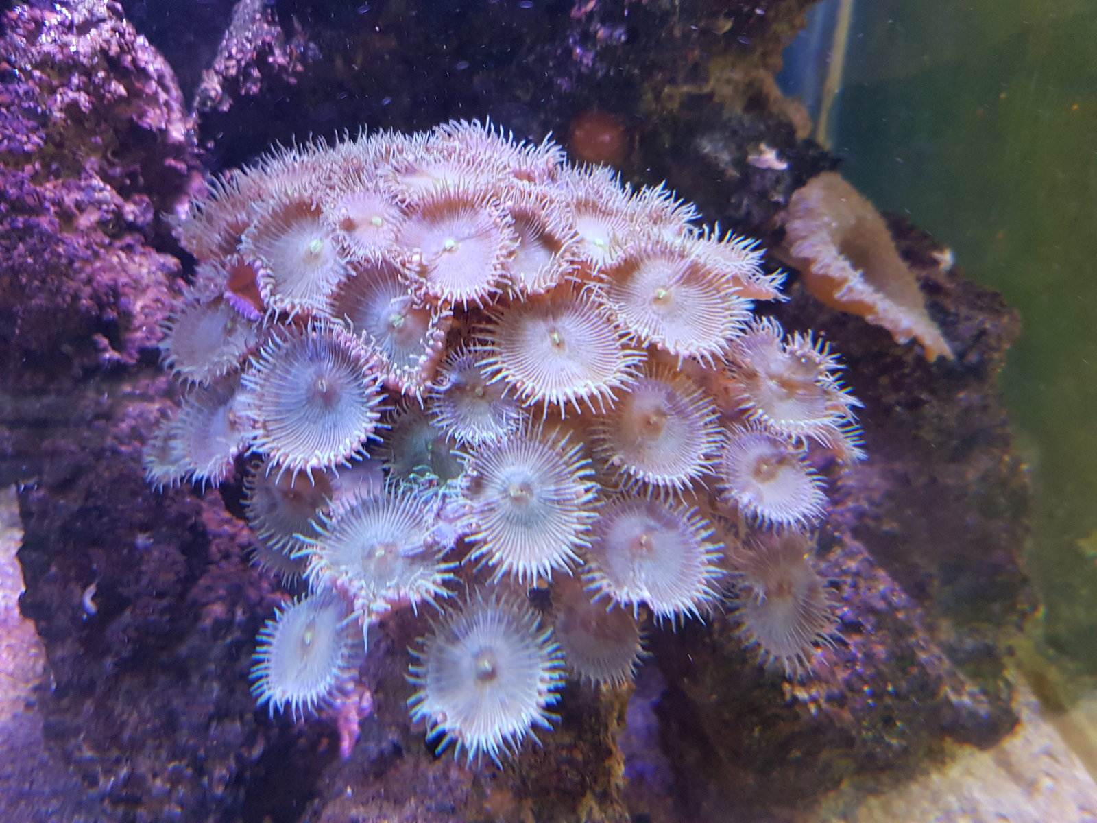 20170310_155218.