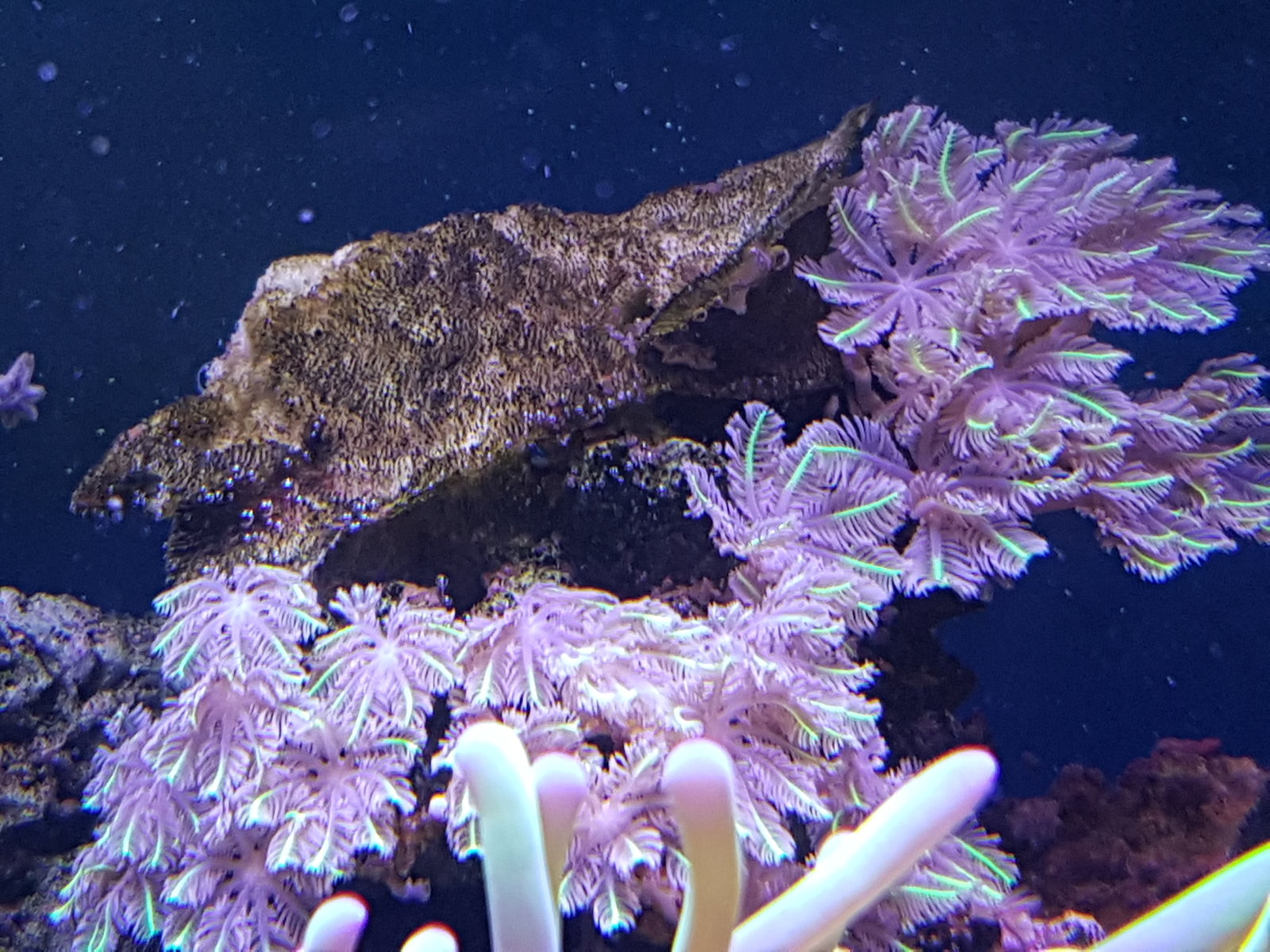 20170310_155235.