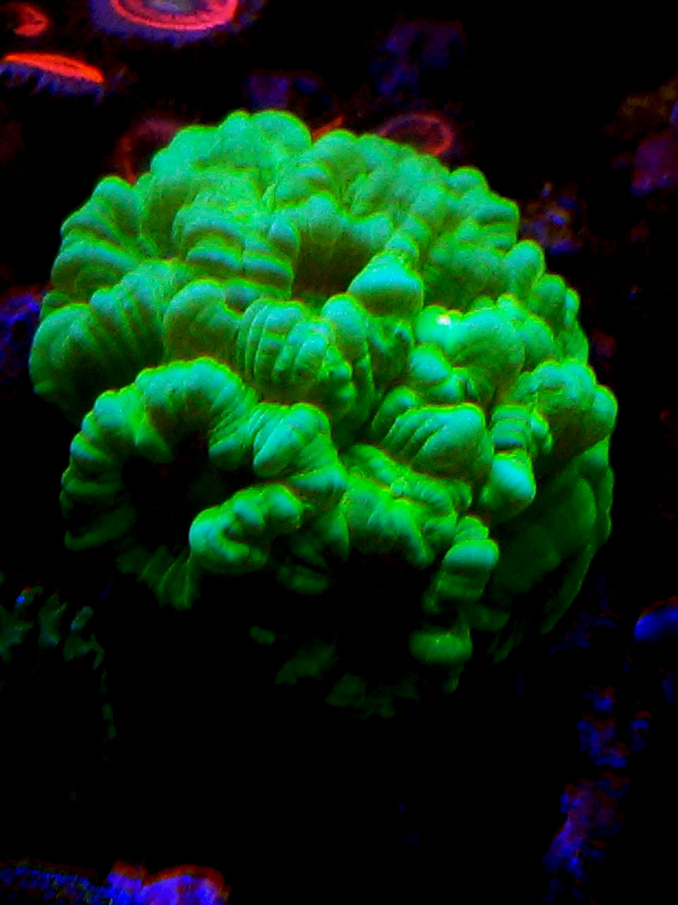 20170315_181038.