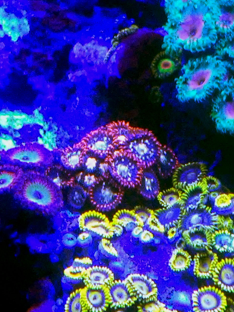 20170320_202849.
