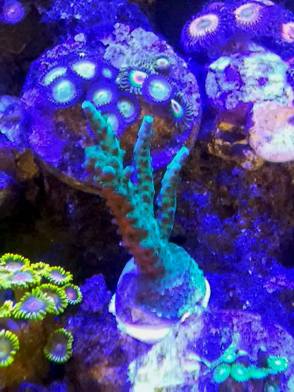 20170321_121129.