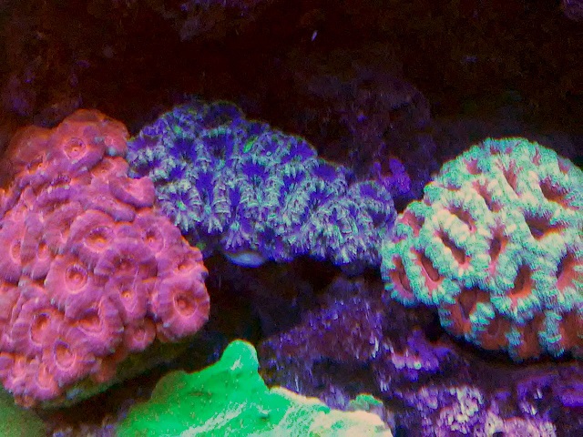 20170409_204031.