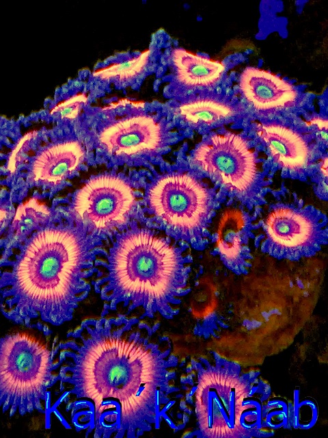 20170415_112438.