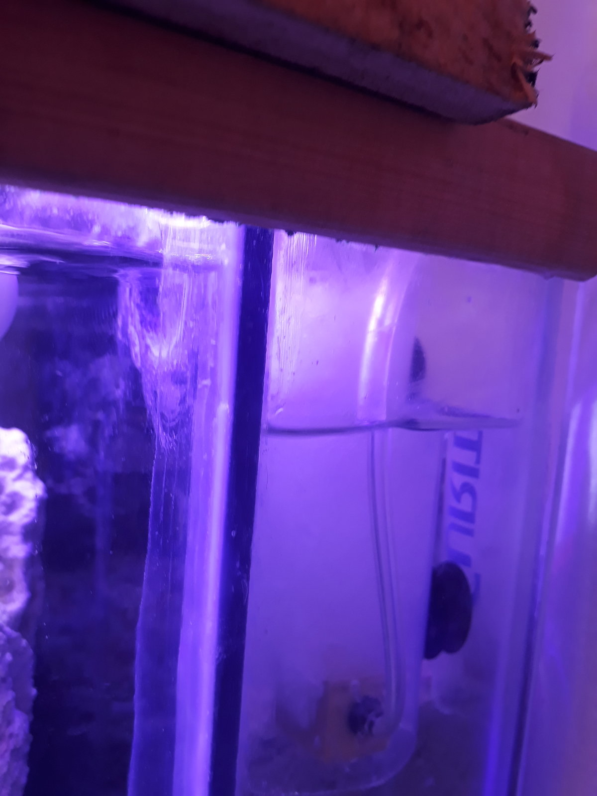 20170419_151603.