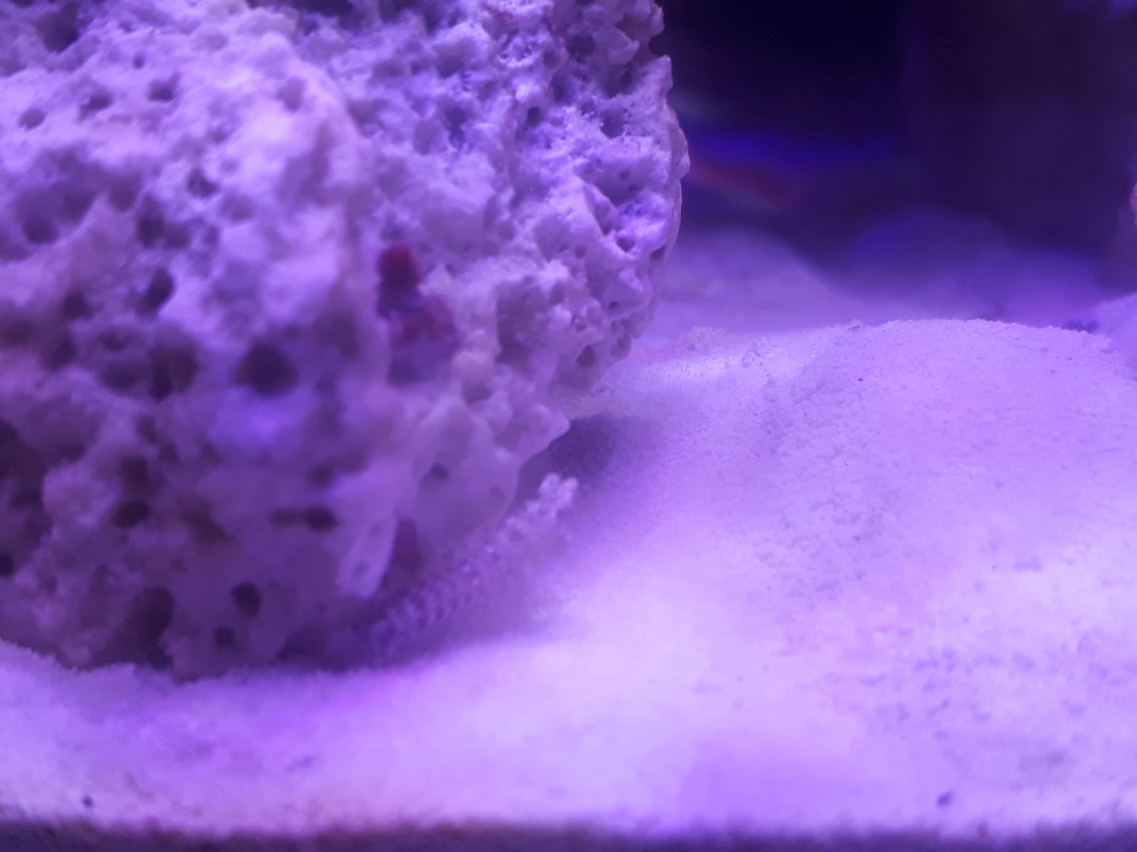 20170507_125449.