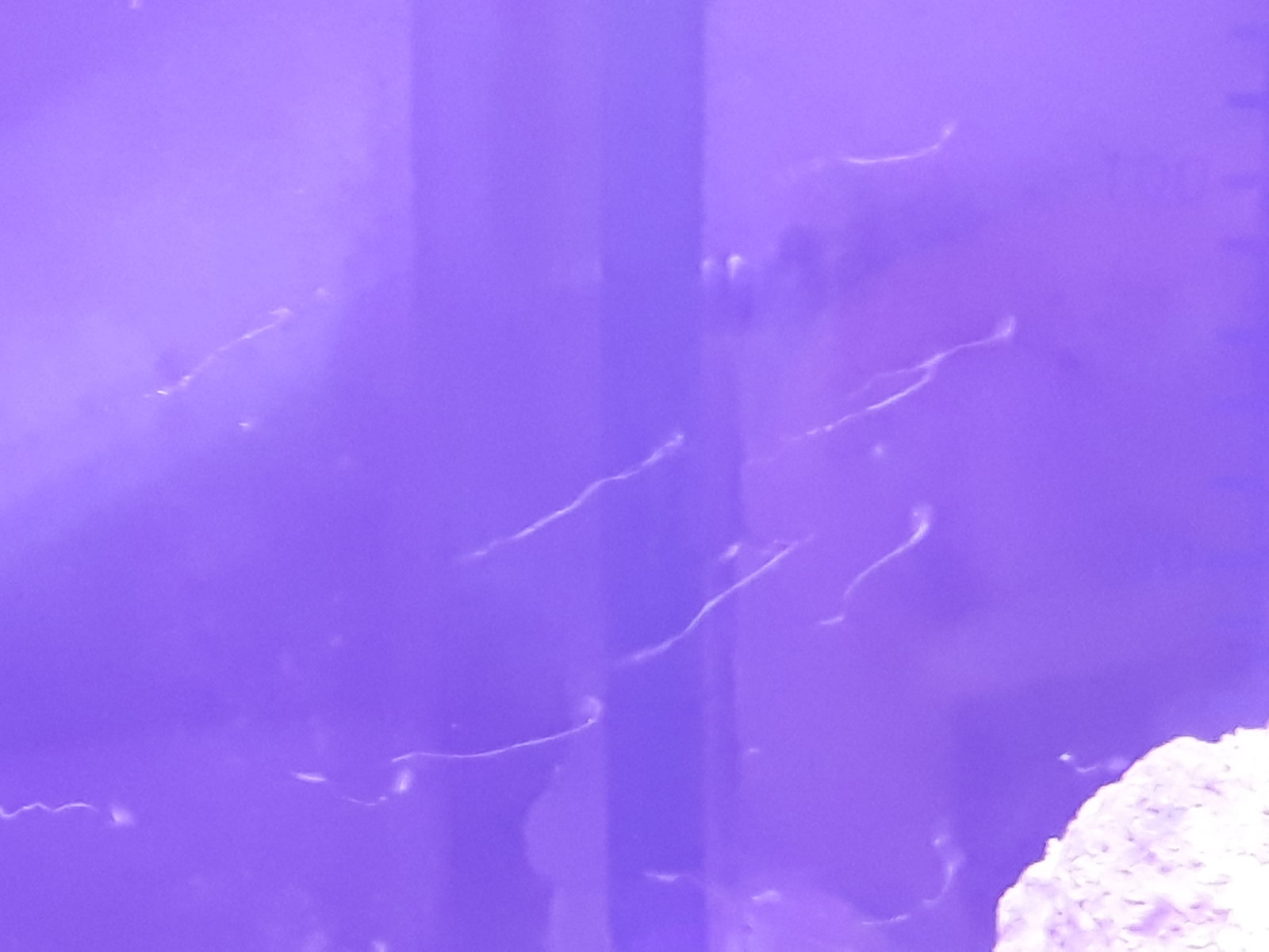 20170519_163951.