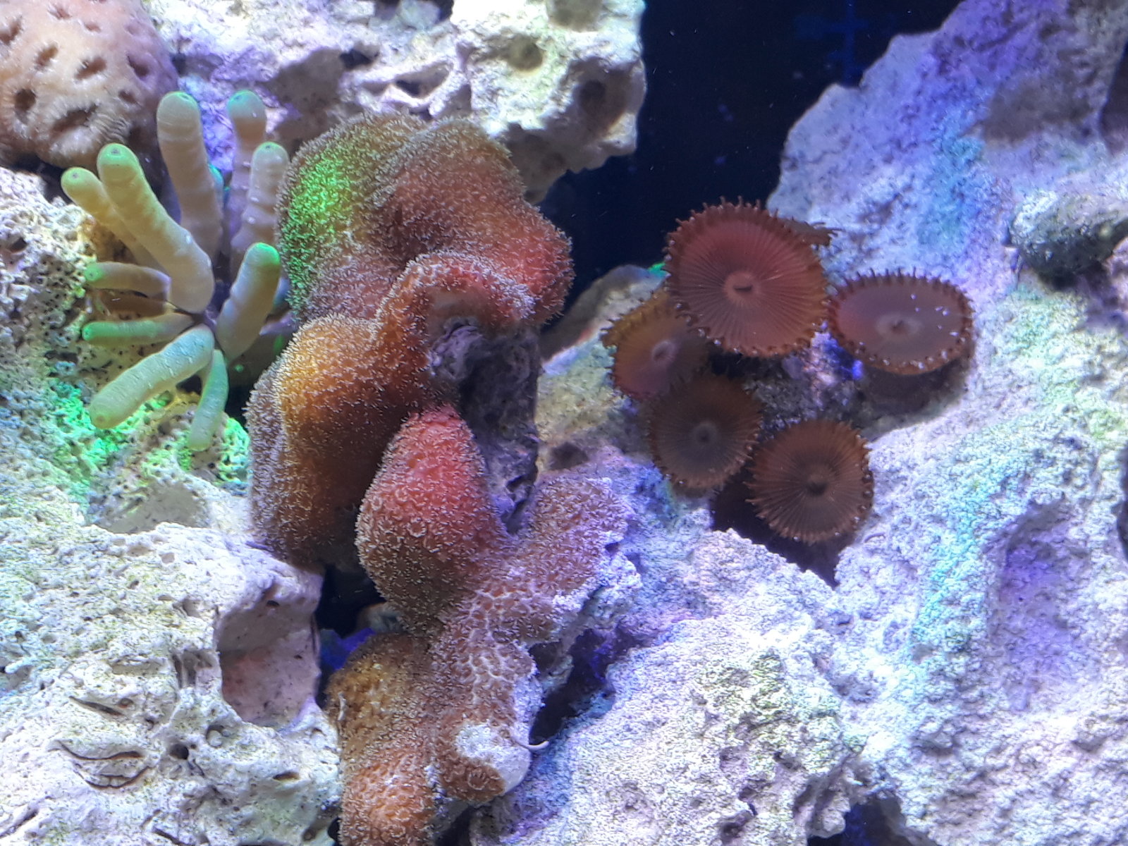 20170722_104037.