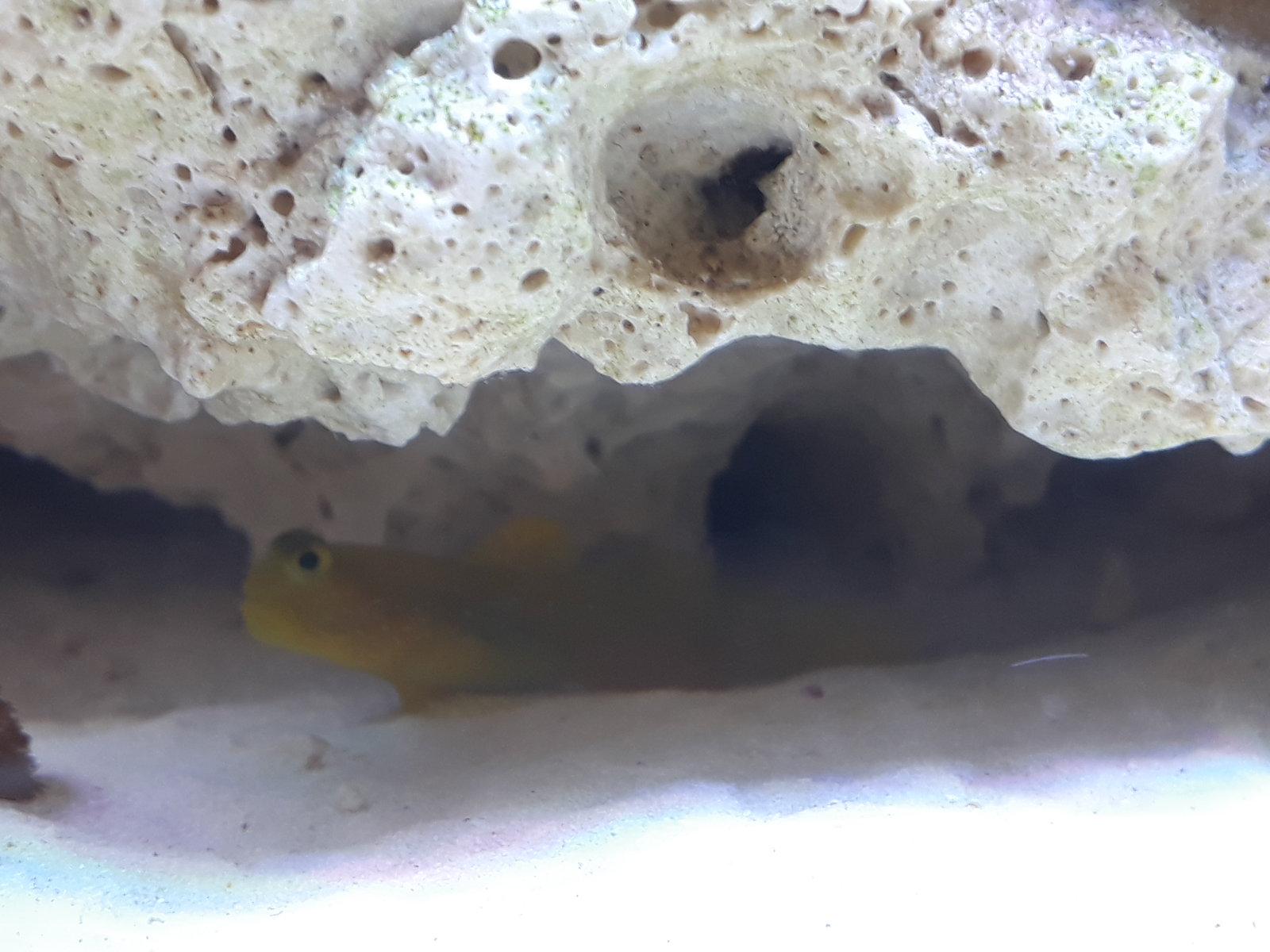 20170722_104059.