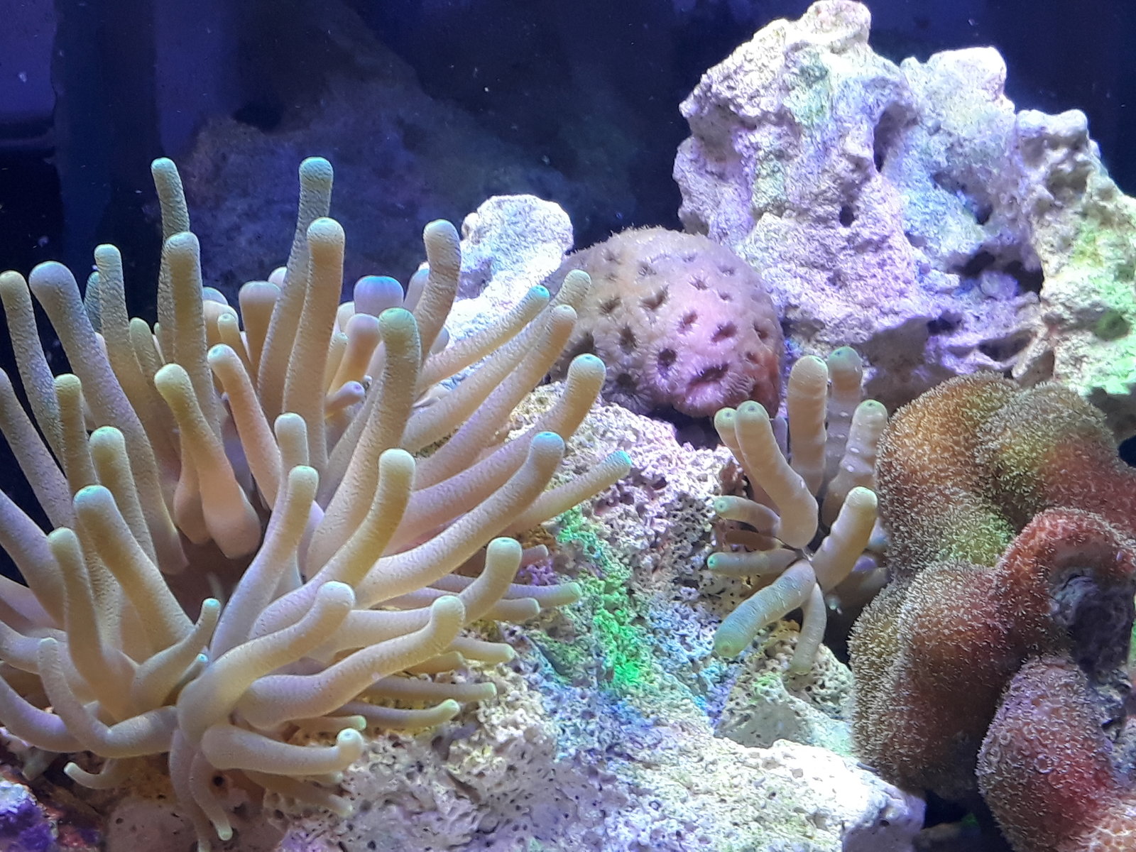 20170722_104107.