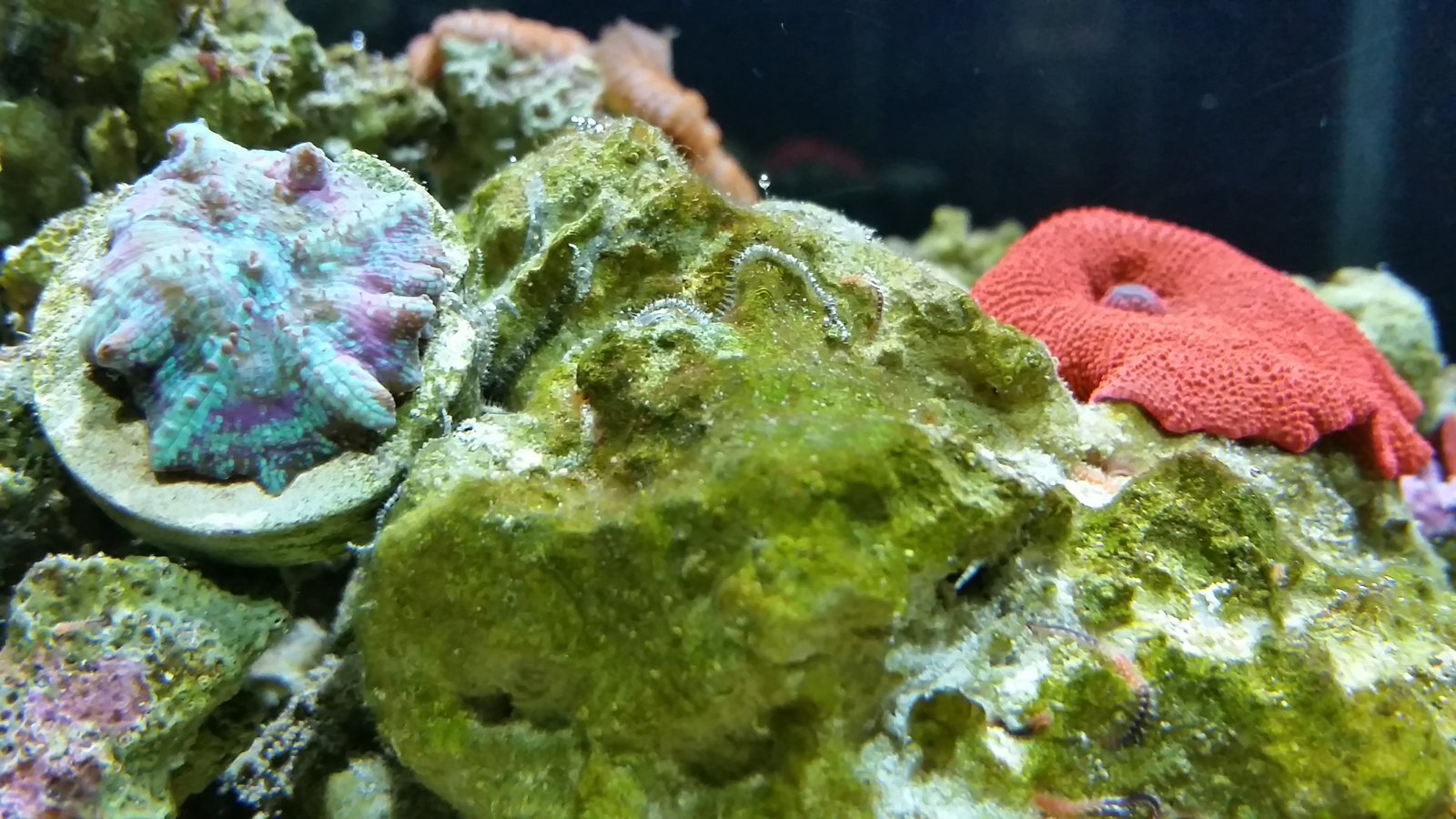 20170924_204242.