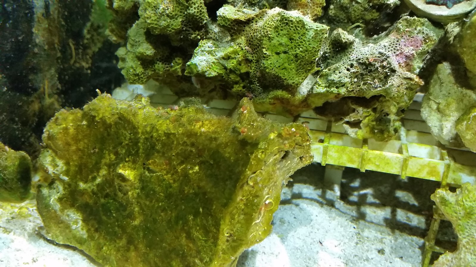 20170924_204256.