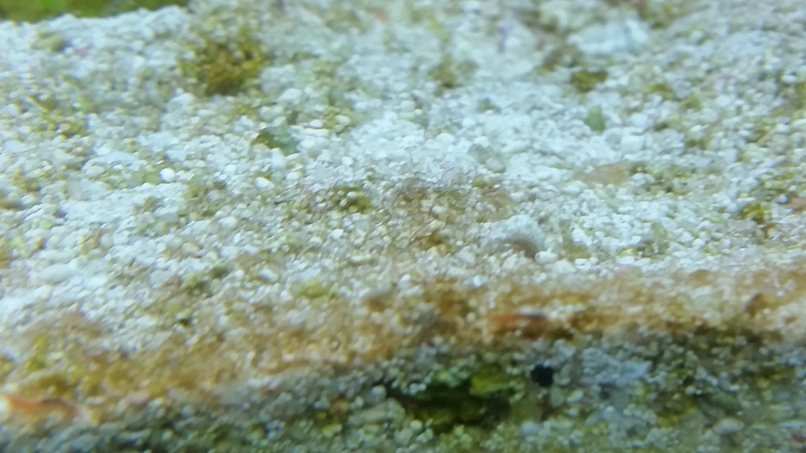 20170924_204622.