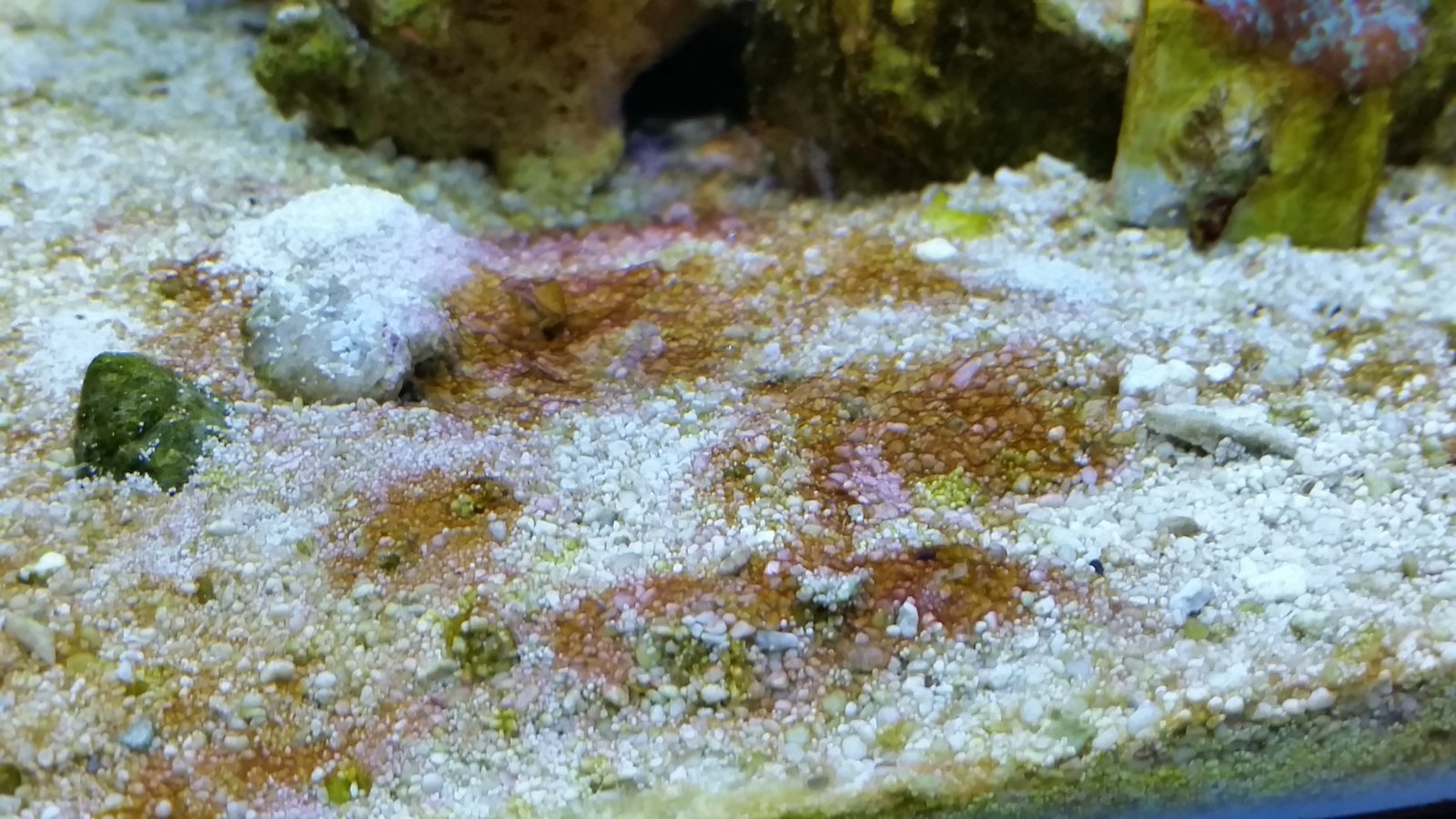 20170925_135414.