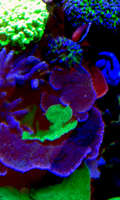 20171212_150302.