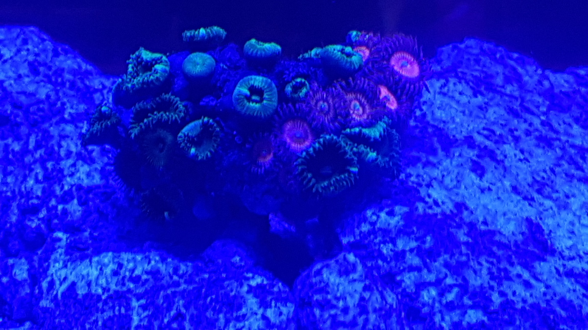 20180421_135525.