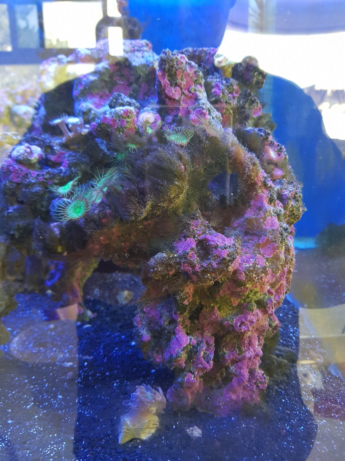 20180630_102922.