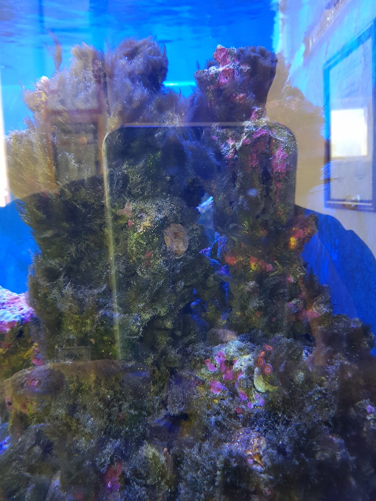 20180630_102954.